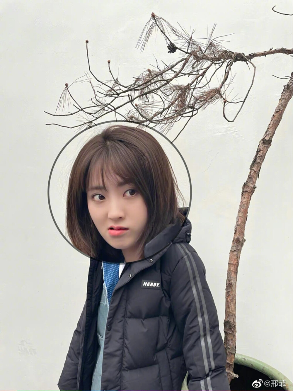 邢菲