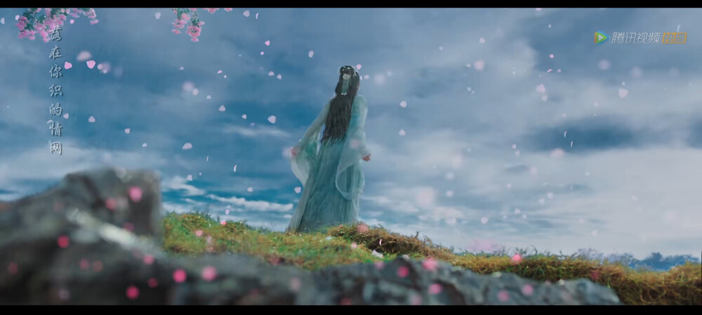 海大鱼# #阿狸# #张予曦