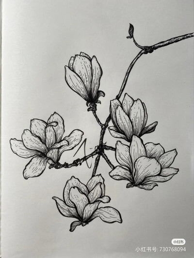 秋季黑白画