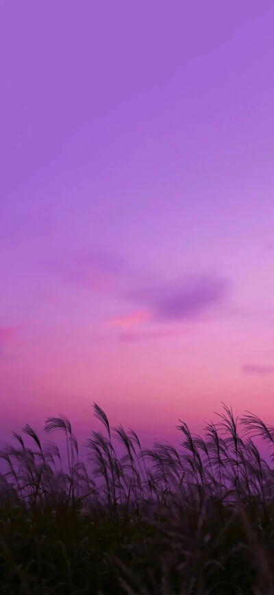 紫色水彩画紫色天空图片