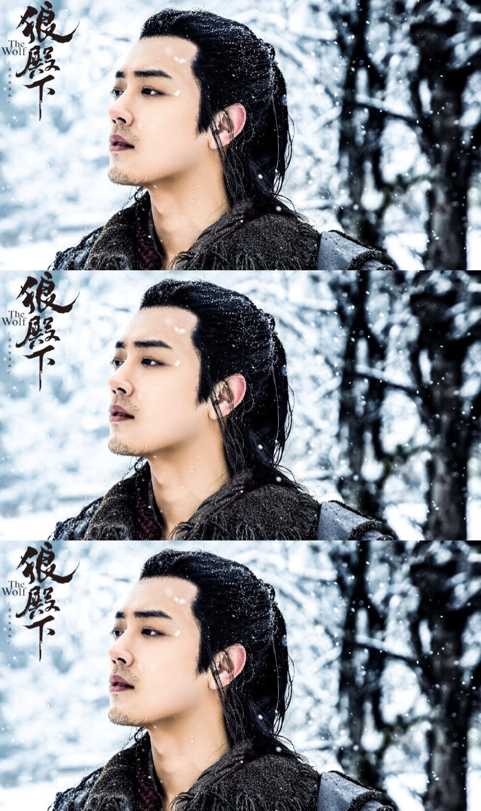 狼殿下疾冲肖战