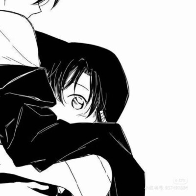 名侦探柯南 新一小兰 新兰 快青 快斗青子 情侣头像 情头