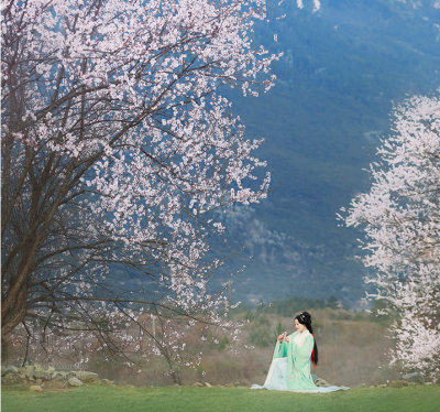 桃李风前多妩媚,杨柳更温柔.