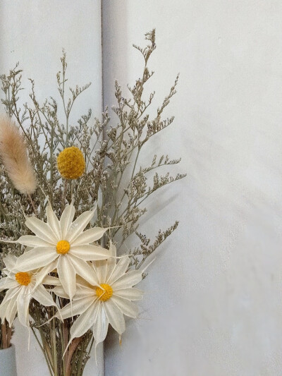 ins风壁纸植物花卉