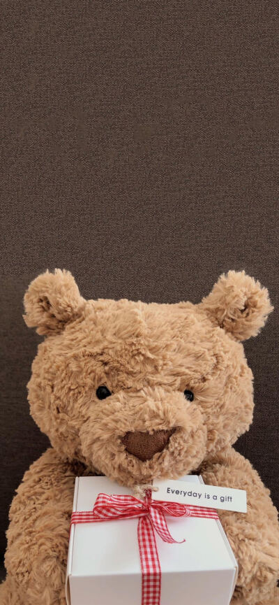 熊熊壁纸太可爱了趴