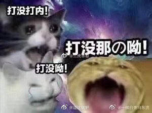 打咩 堆糖,美图壁纸兴趣社区