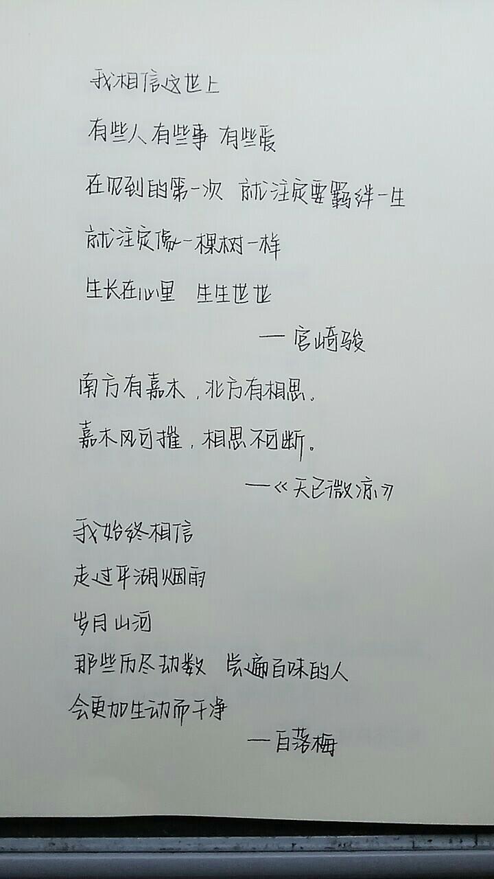 奶酪字体