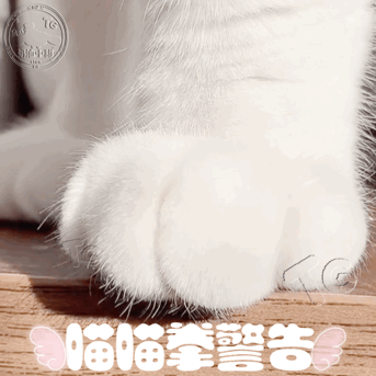 可爱的颜文字猫爪图片