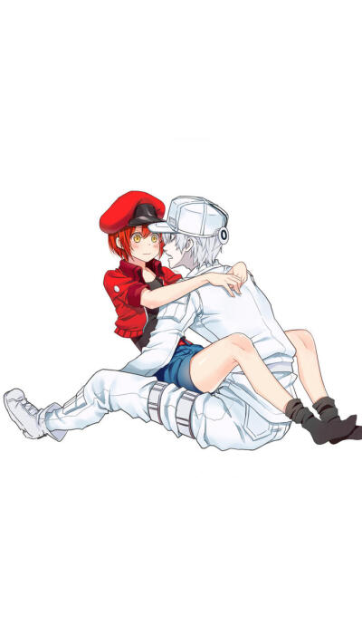 工作细胞〔白赤〕(侵权删)