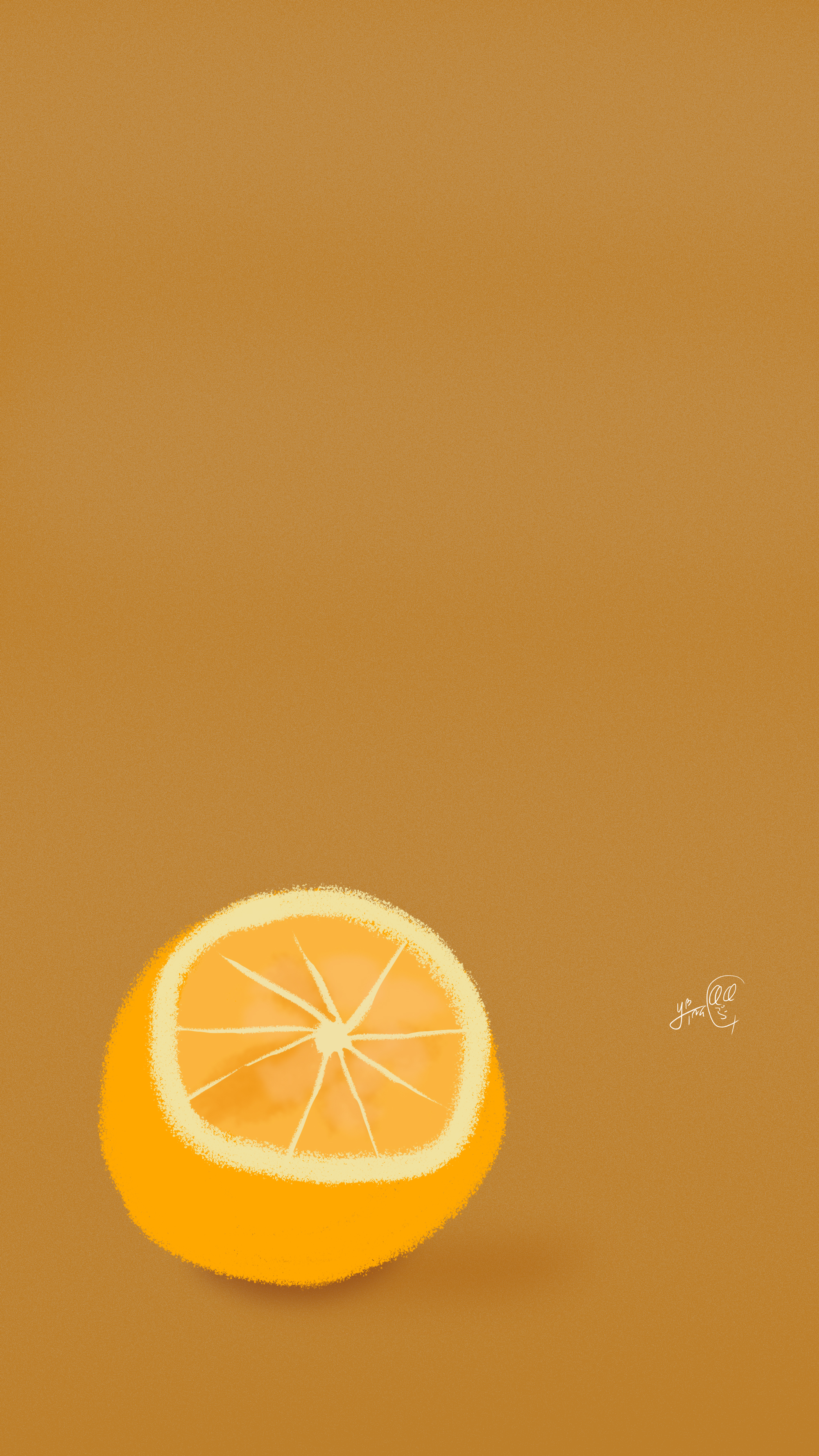 橙子壁纸竖屏图片