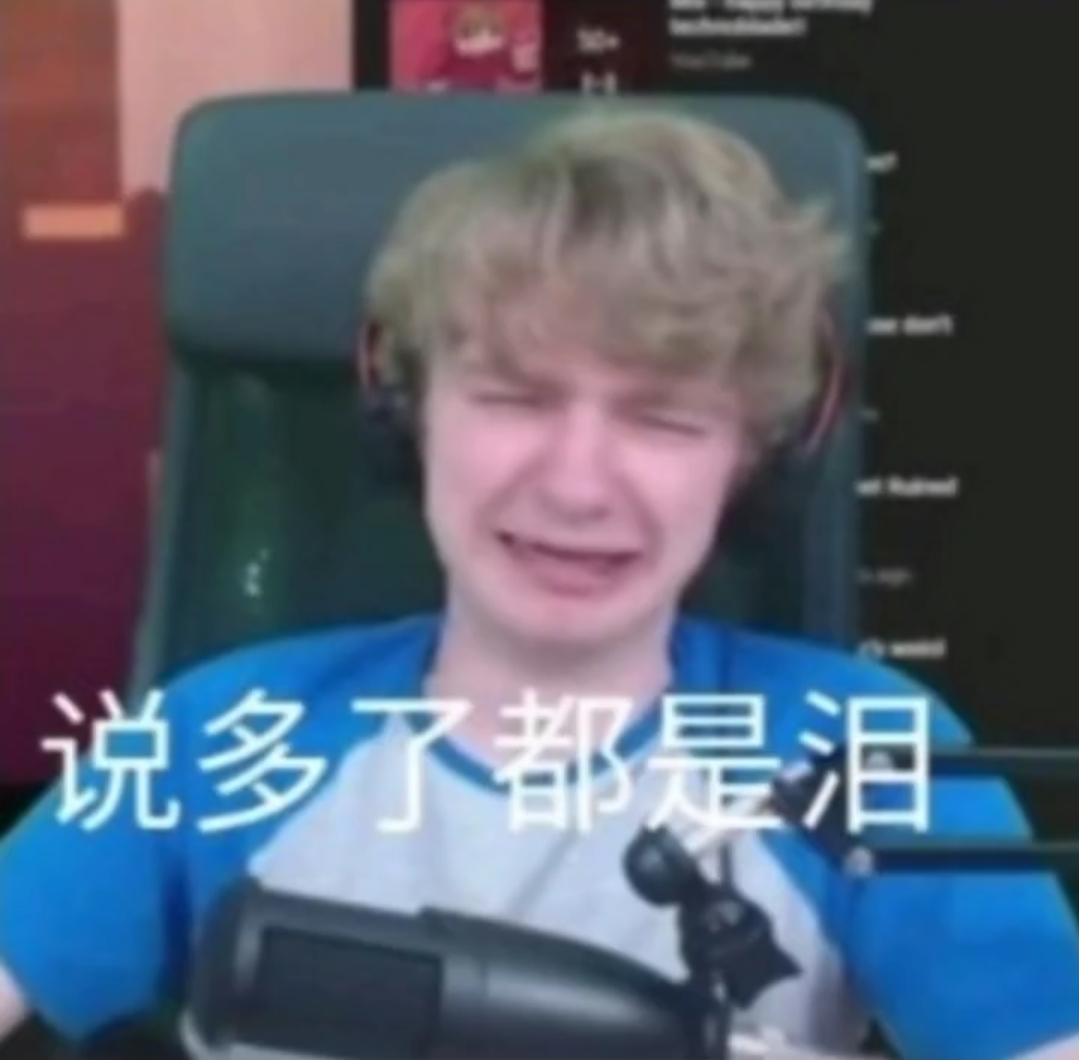 dreamsmp表情包