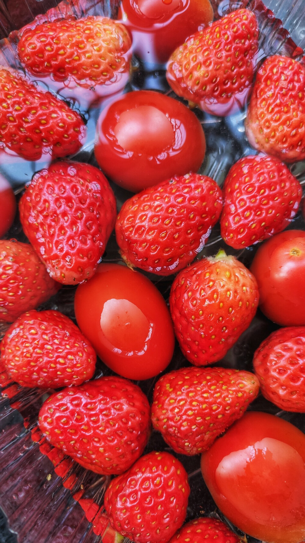 水果清新草莓壁纸