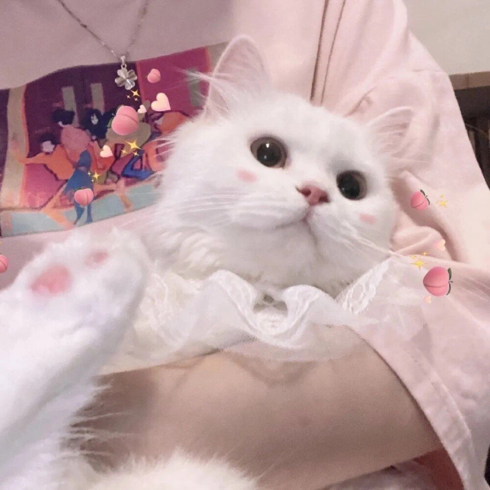 情头
