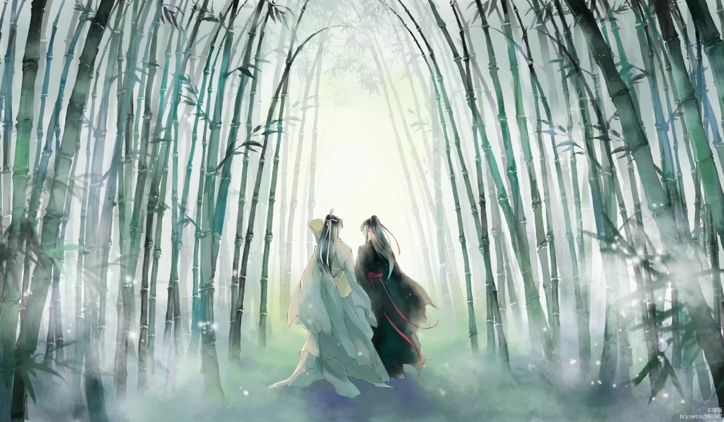 魔道祖师忘羡魏无羡蓝忘机 