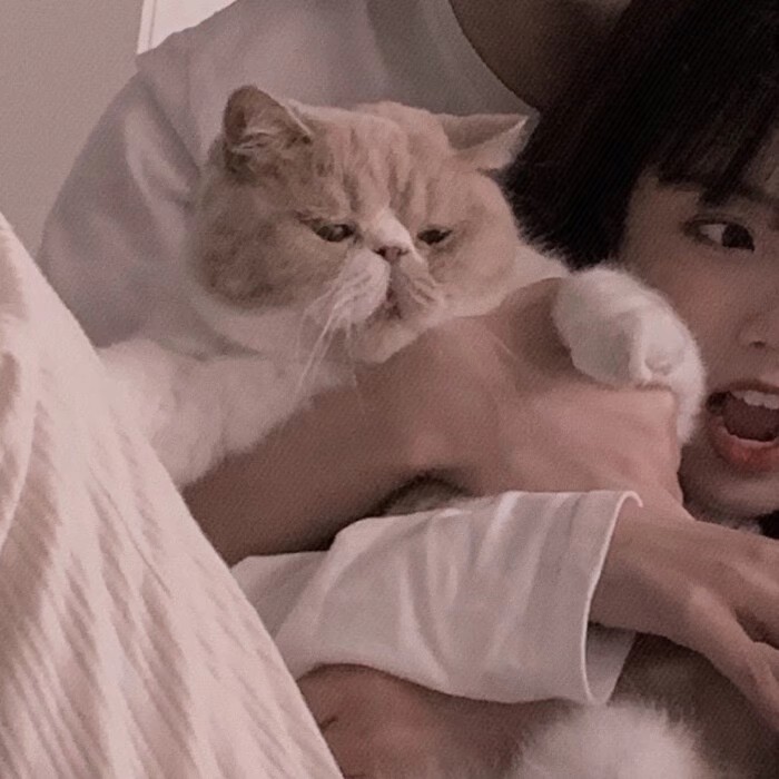 小动物情头