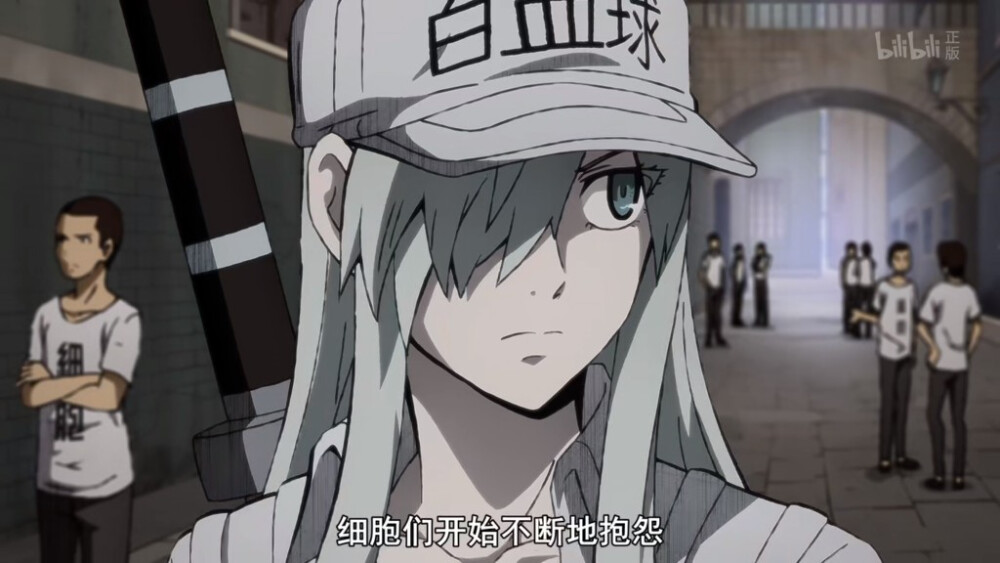 【工作细胞black】白细胞