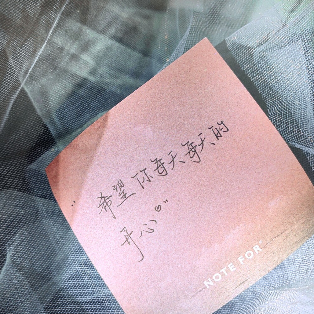 希望你每天每天的开心79凉木手写文案文案来源网络侵权删