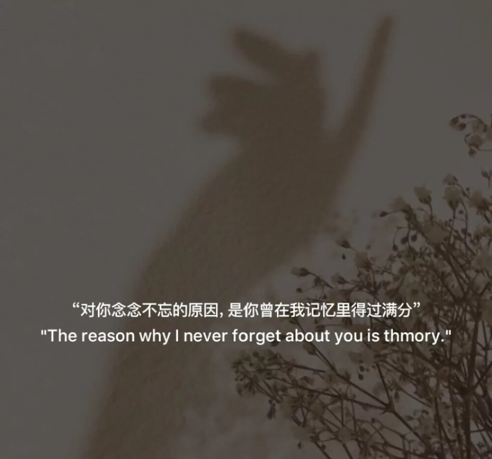 " 祝你清醒,温柔,一尘不染 " 文字背景图#朋友圈背景图#手写句子