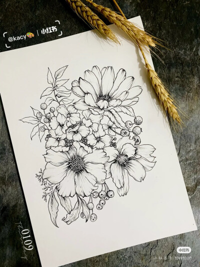 黑白装饰画 花卉线描