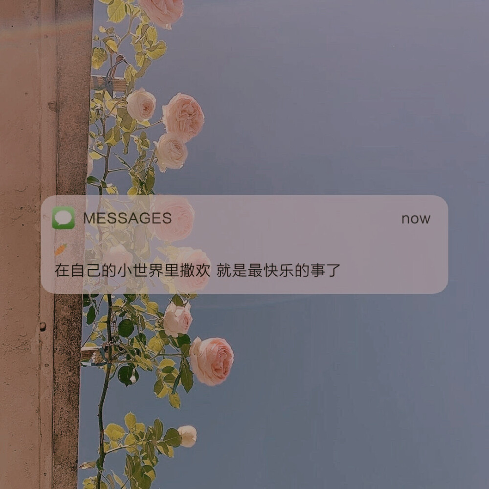 messages文案 