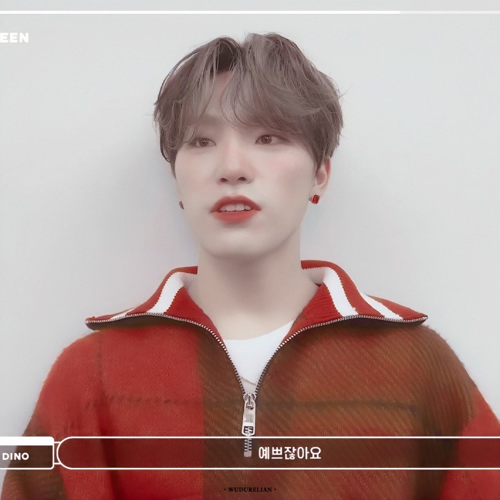 李灿|dino*