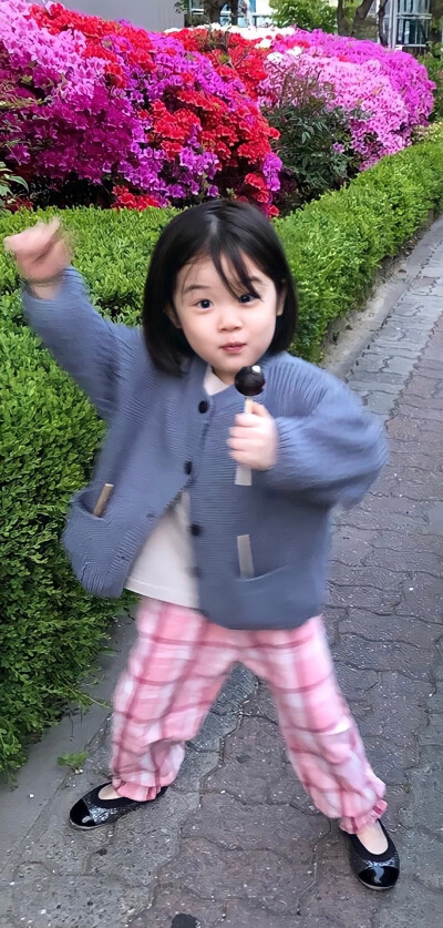 主页表情包 - 堆糖,美图壁纸兴趣社区