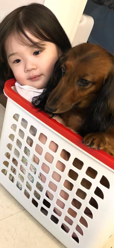 主页表情包 - 堆糖,美图壁纸兴趣社区