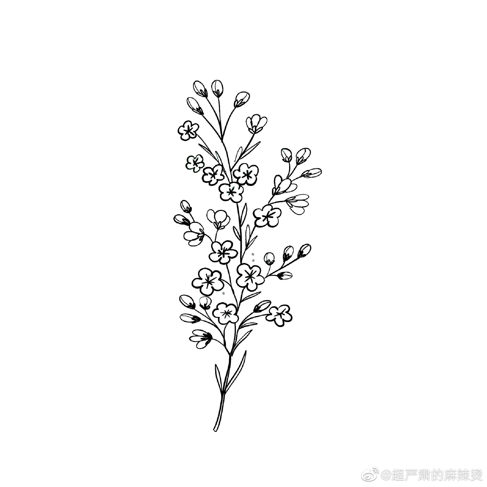 橡皮章素材植物简单图片