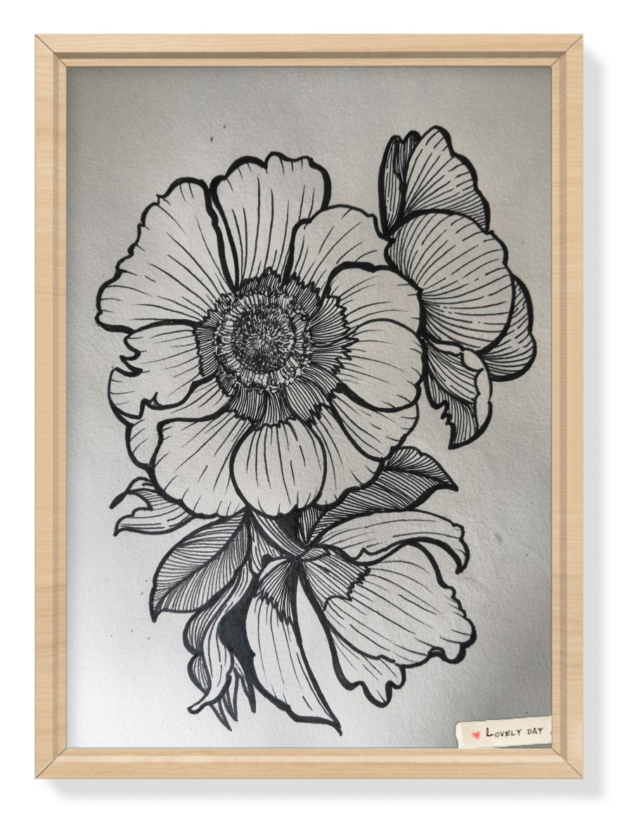 100张花卉线描图装饰画图片