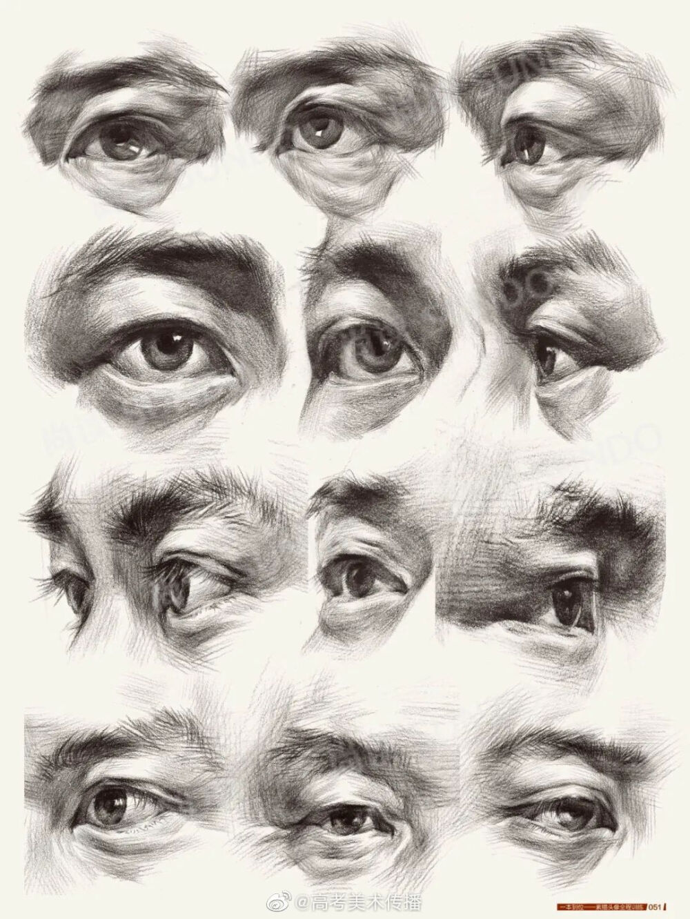人脸五官图 素描图片