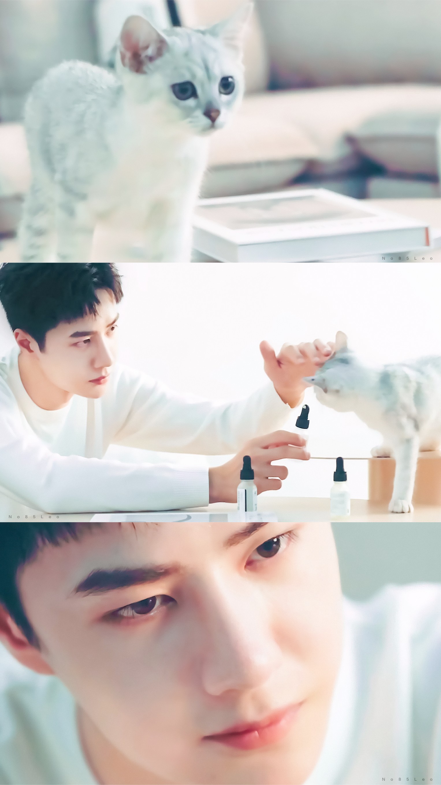 hfp宣传视频 截修「午后两点 男友与猫」 @uniq-王一博 cr:no85leo