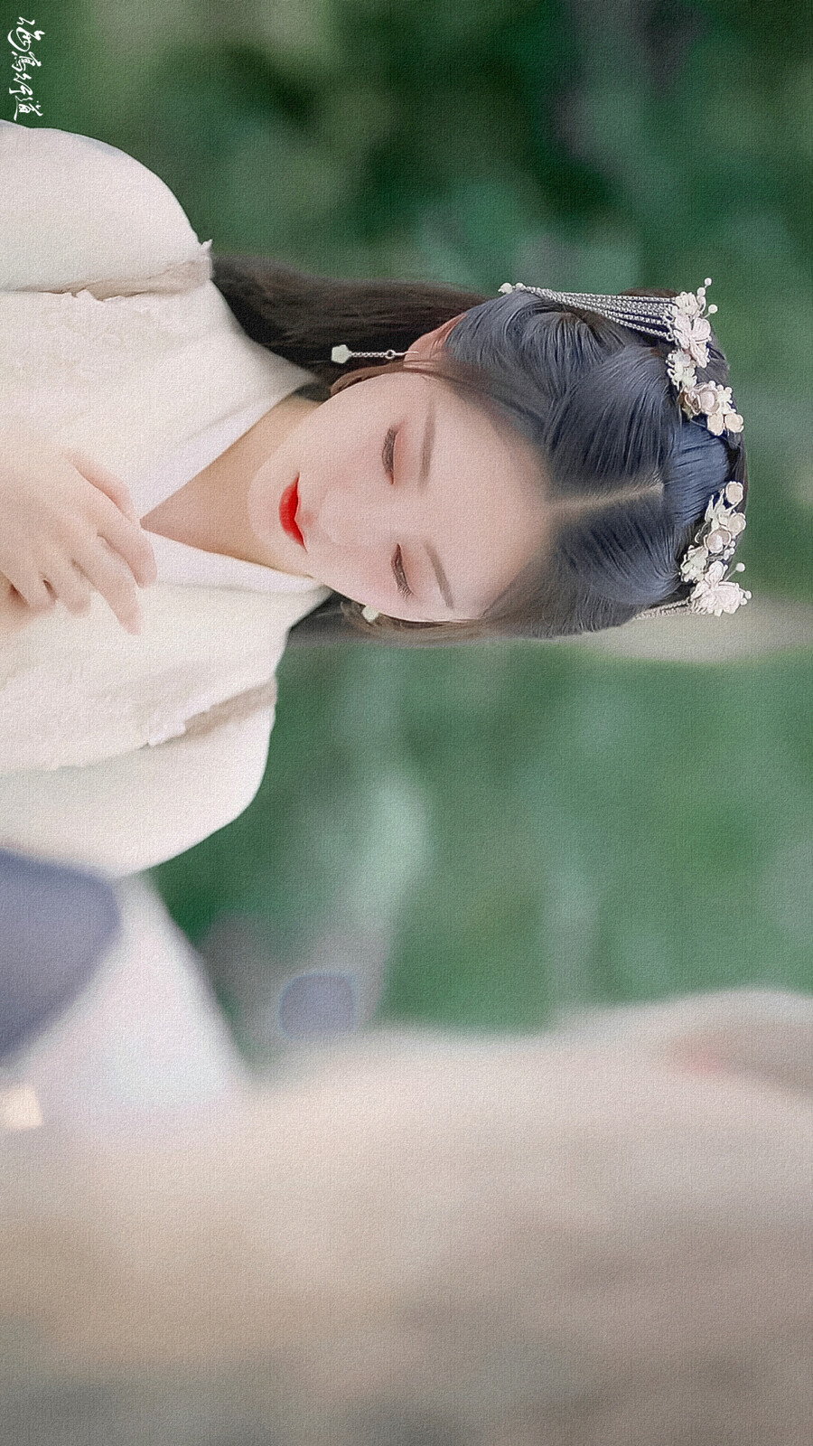 祝绪丹 流萤 cr:海鸟行道