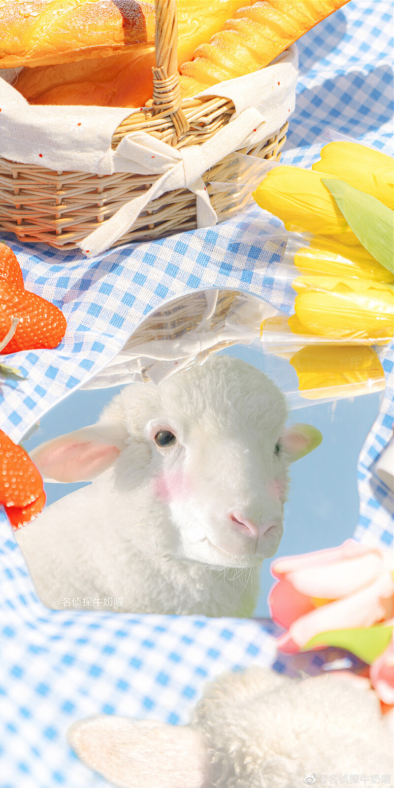 羊- 堆糖,美图壁纸兴趣社区