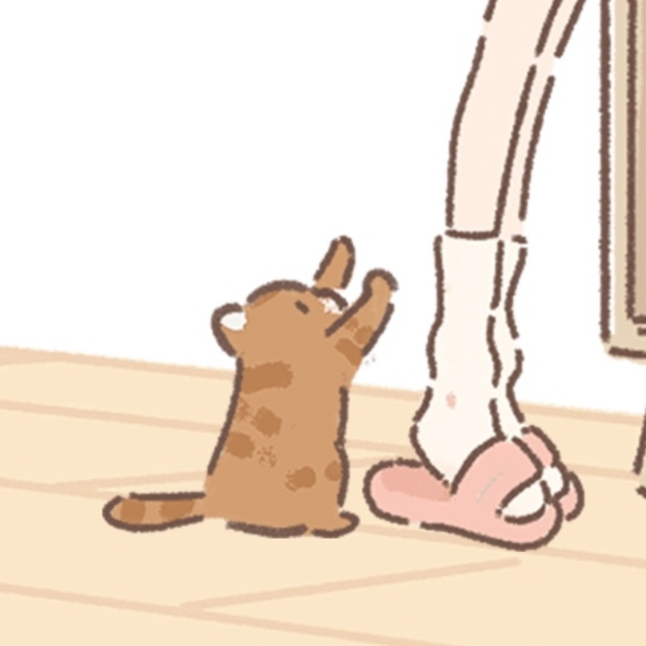 遇见你的猫