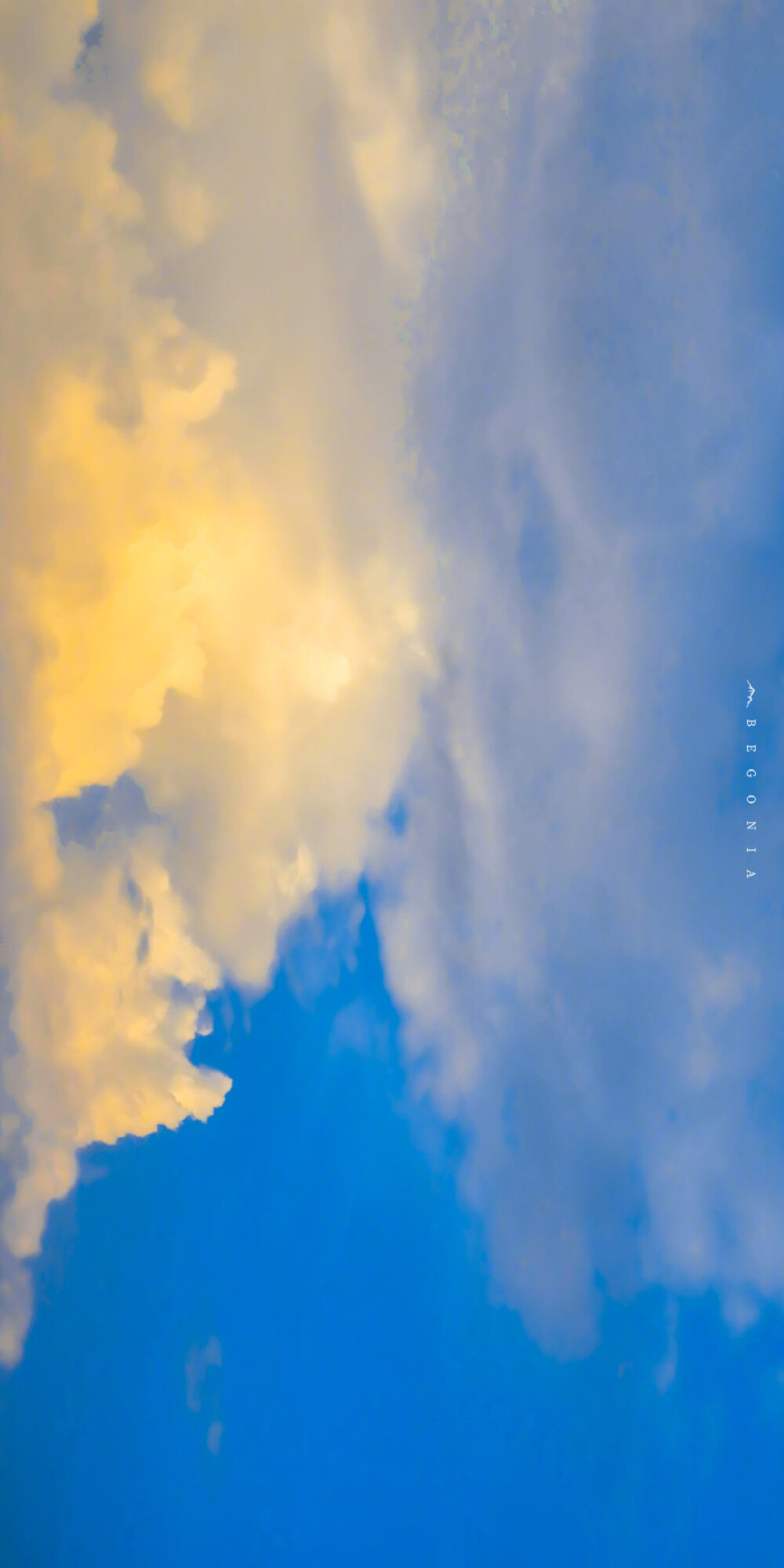 「2021毕业季」壁纸/文案