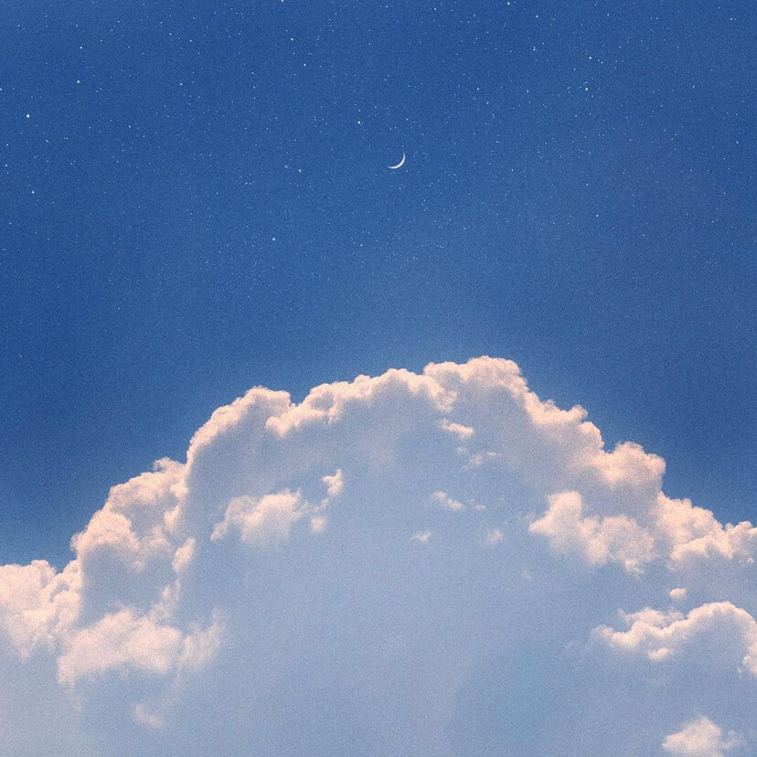 "月遇从云,花遇和风"