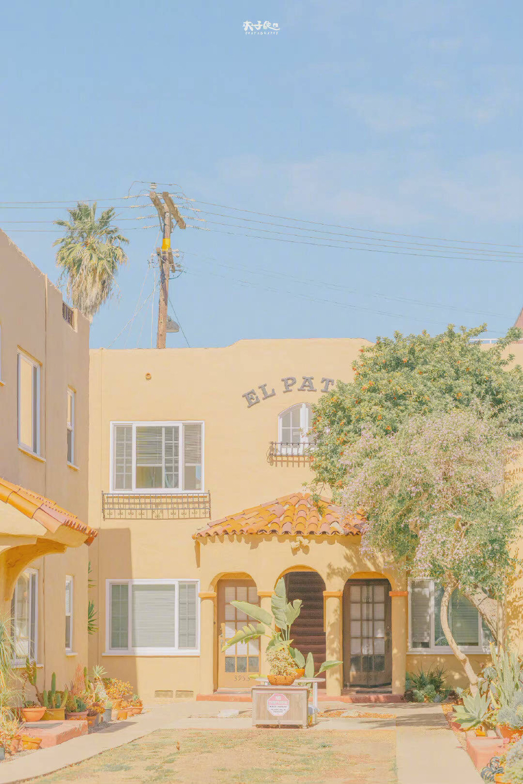 『夏至清爽壁纸&背景图』