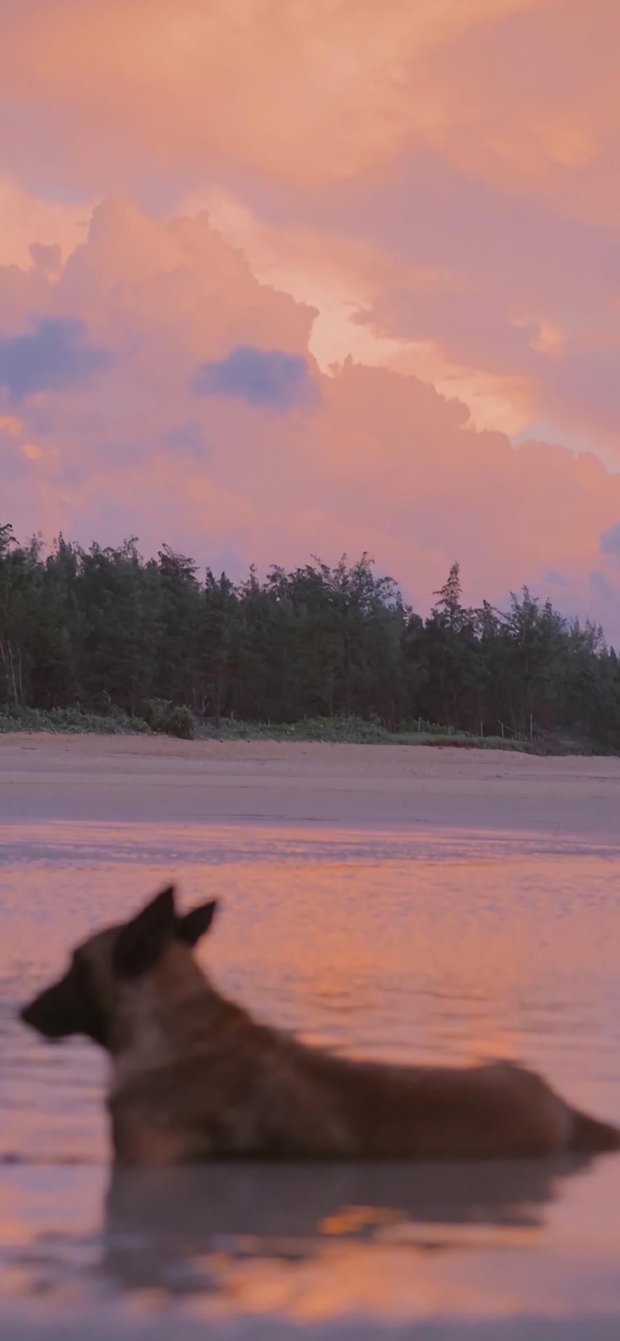 暗色系手机壁纸