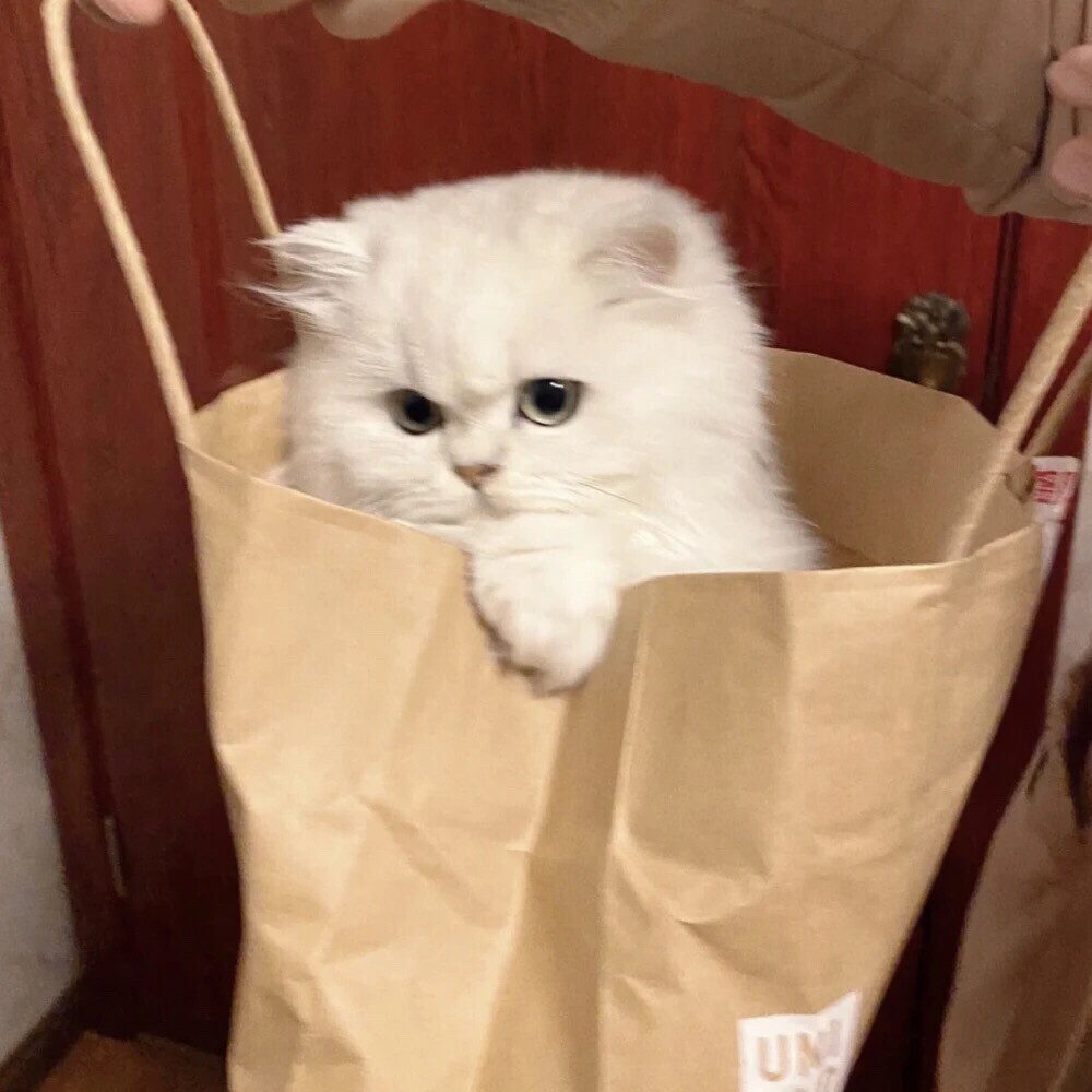 拿走吱一声蟹蟹