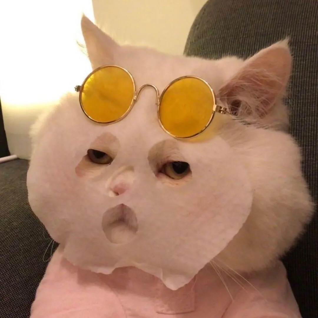 猫戴眼镜敷面膜头像图片