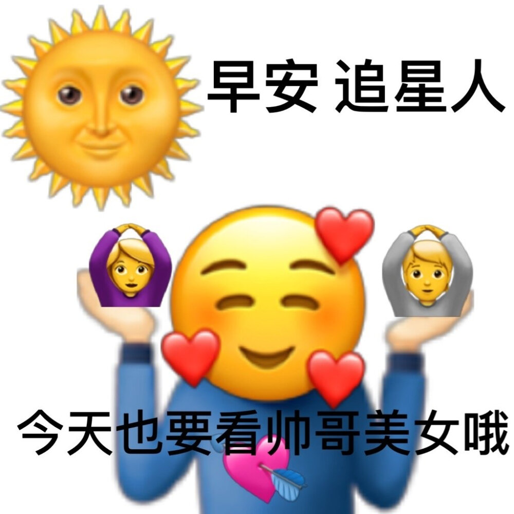 追星表情包旗子图片