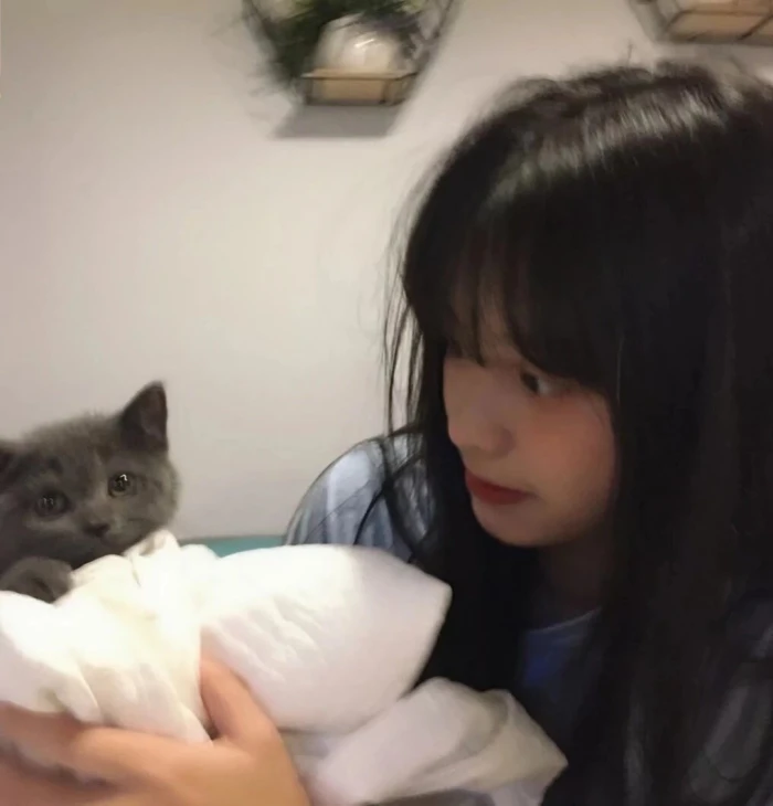 ins女头