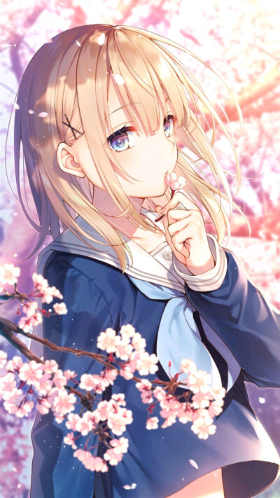 二次元女爵