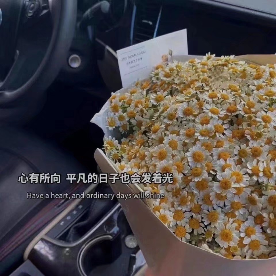 背景图温柔 文字系