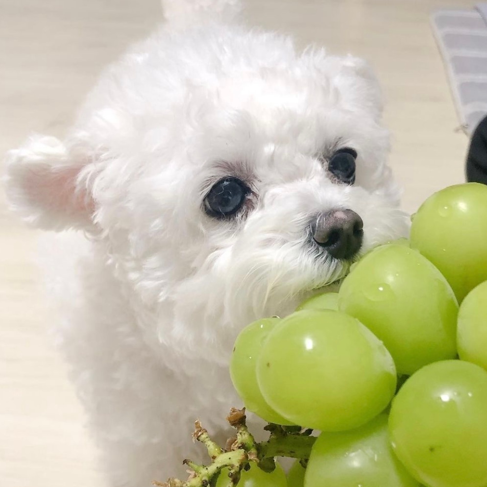 今日份可爱搞怪萌娃女生微信头像//