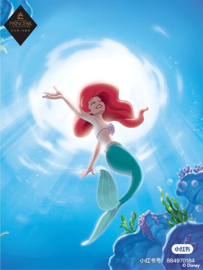 小美人鱼 爱丽儿壁纸