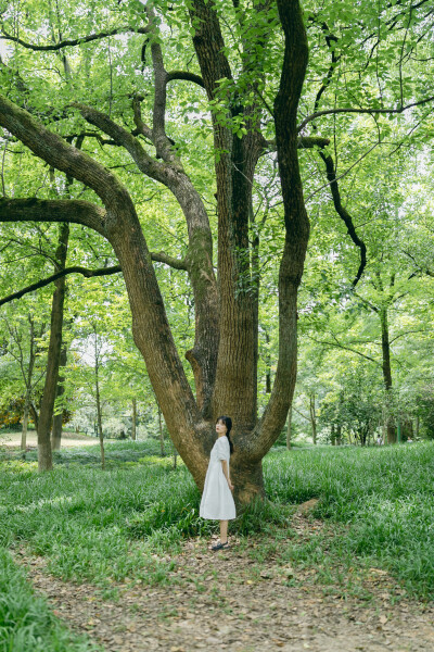 绿草地小白裙摄影:洪小漩出镜:小溪植物园有一片绿草地.