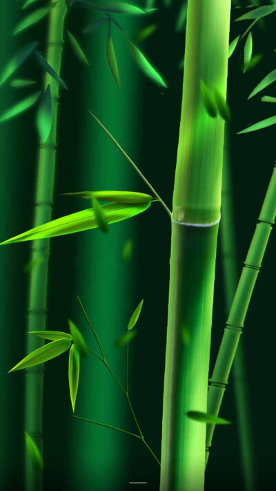 竹子壁纸竖屏图片