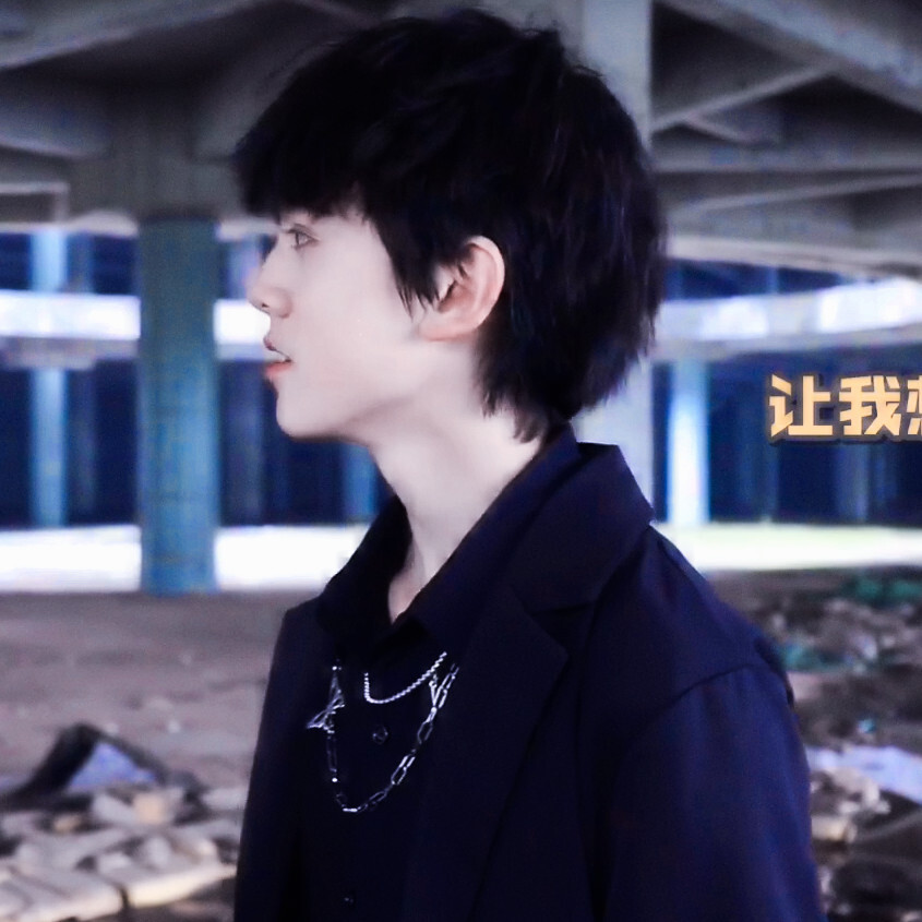【tf家族三代左航】左航头像.