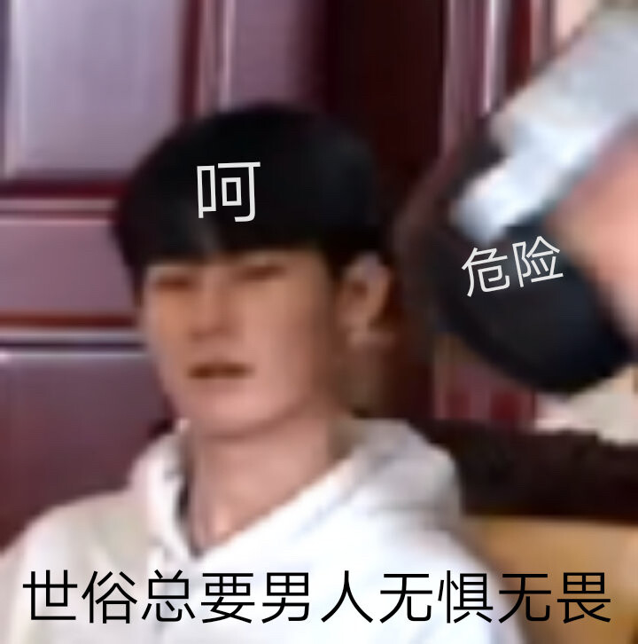 张真源表情包